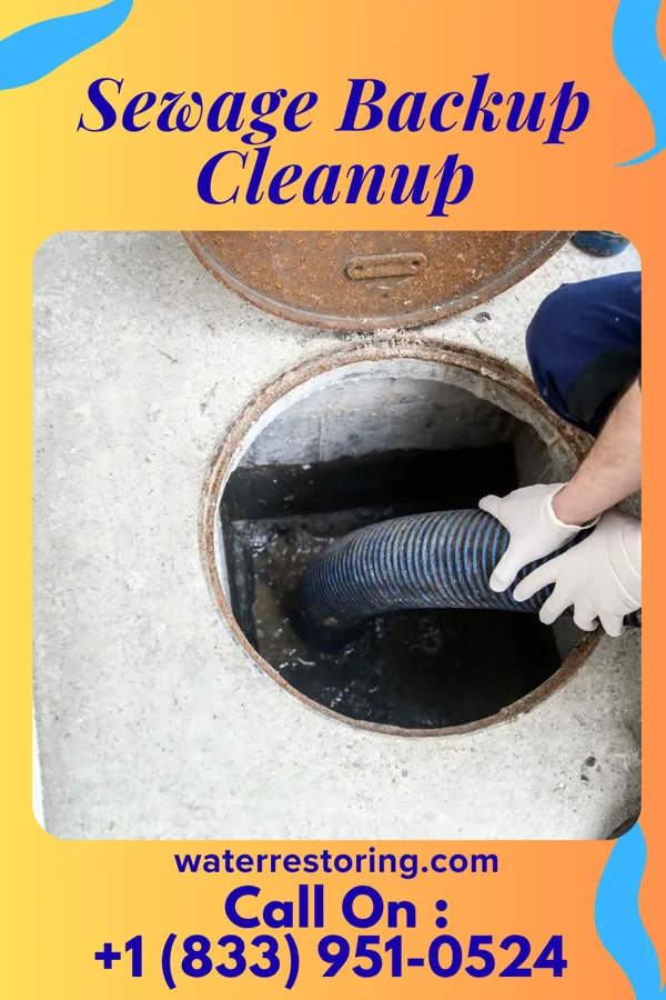 Sewage Backup Cleanup in Washburn, ND